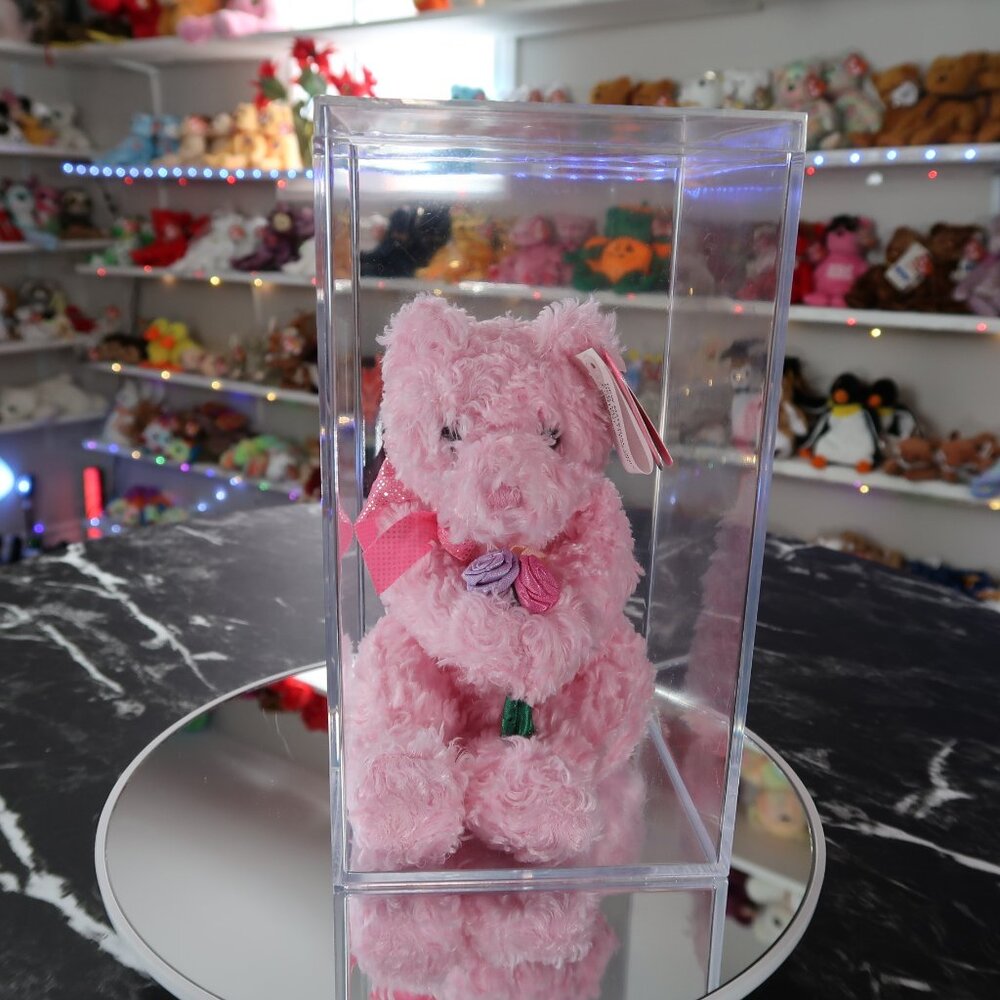 TY Pinkys Beanie Baby - Radiance the Bear | MWMT Mint Tags | Retired | Rare